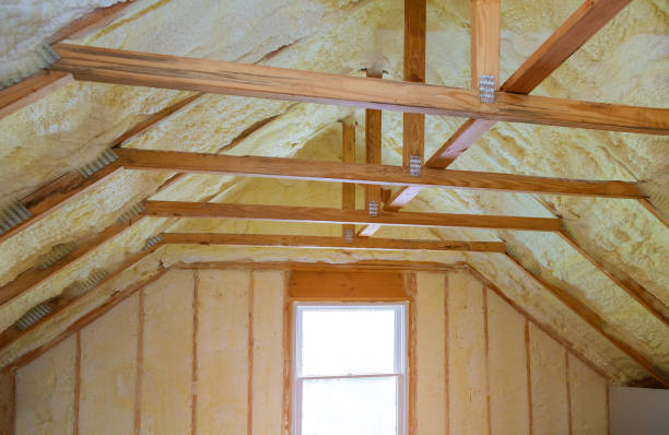 Best Spray Foam Insulation in Brandermill, VA