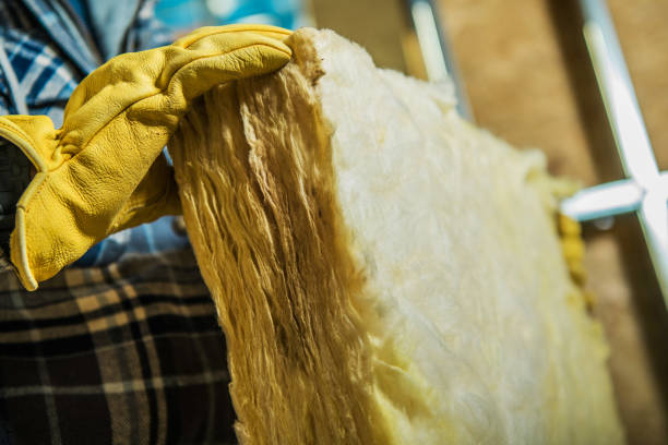 Best Eco-Friendly Insulation in Brandermill, VA