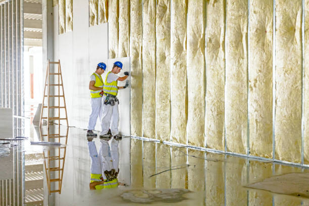 Best Spray Foam Insulation in Brandermill, VA